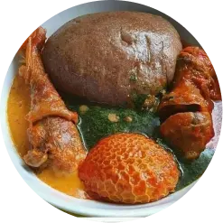 Dish